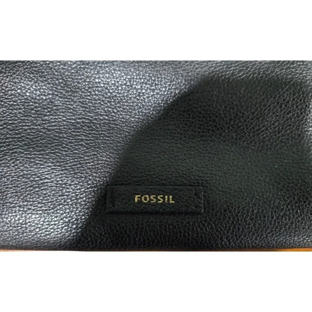 Fossil this large